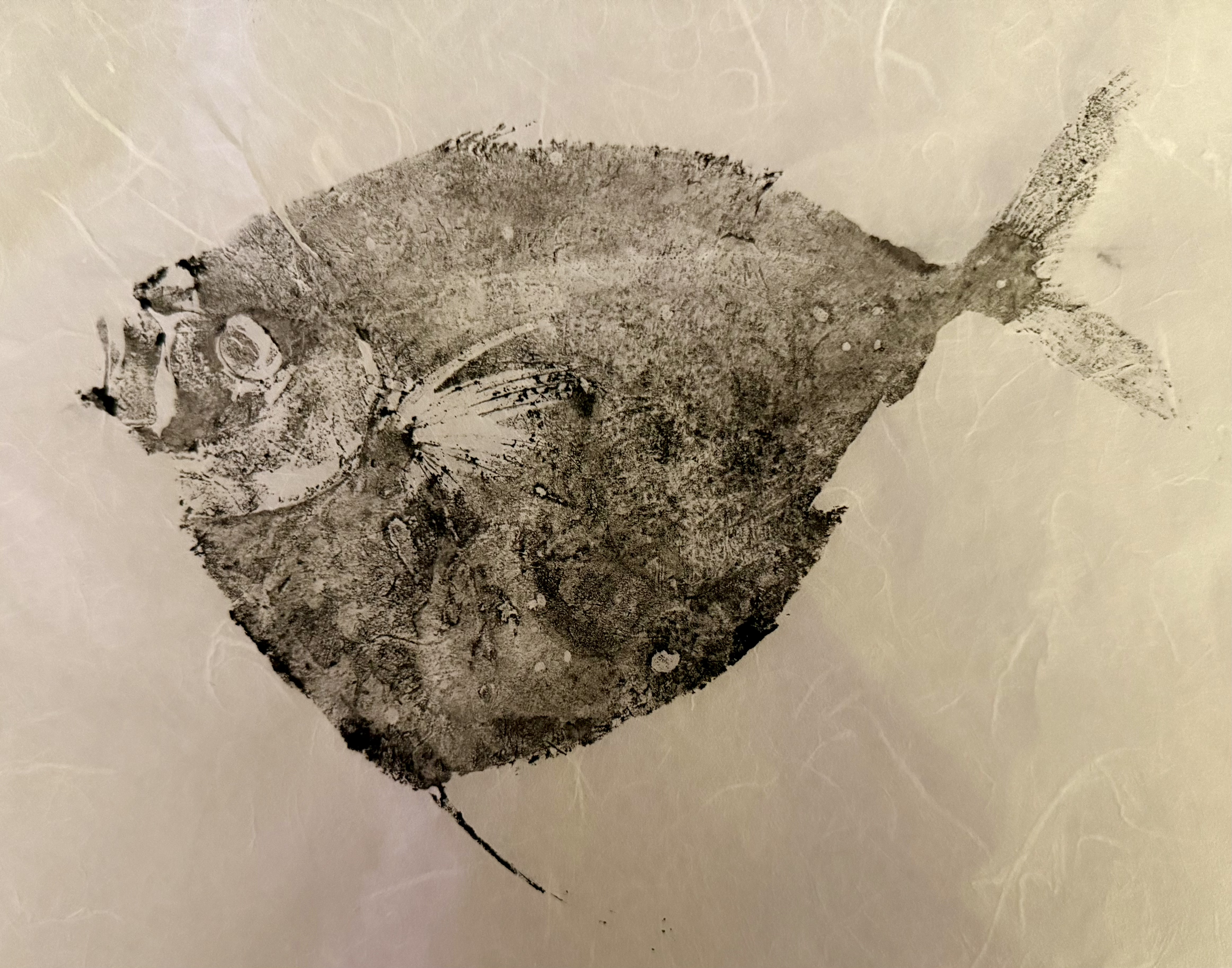 One gyotaku print of a small, flat fish