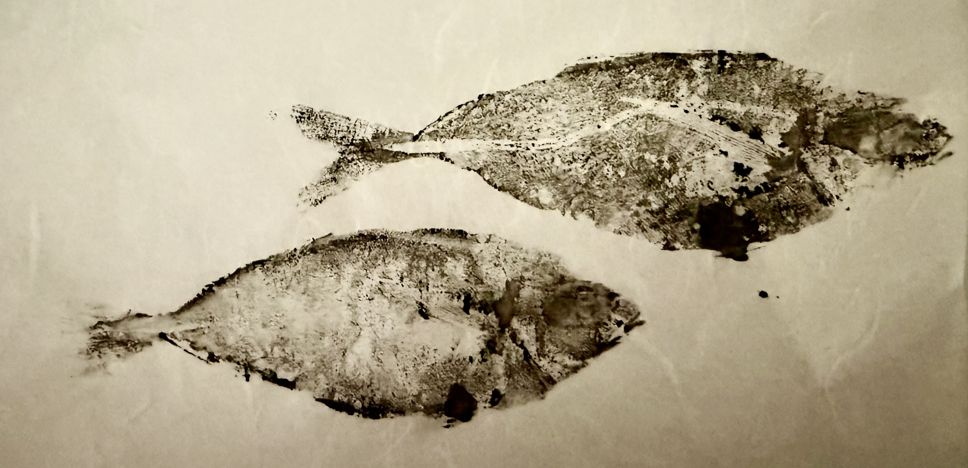 two gyotaku prints, both mackerel-type fish