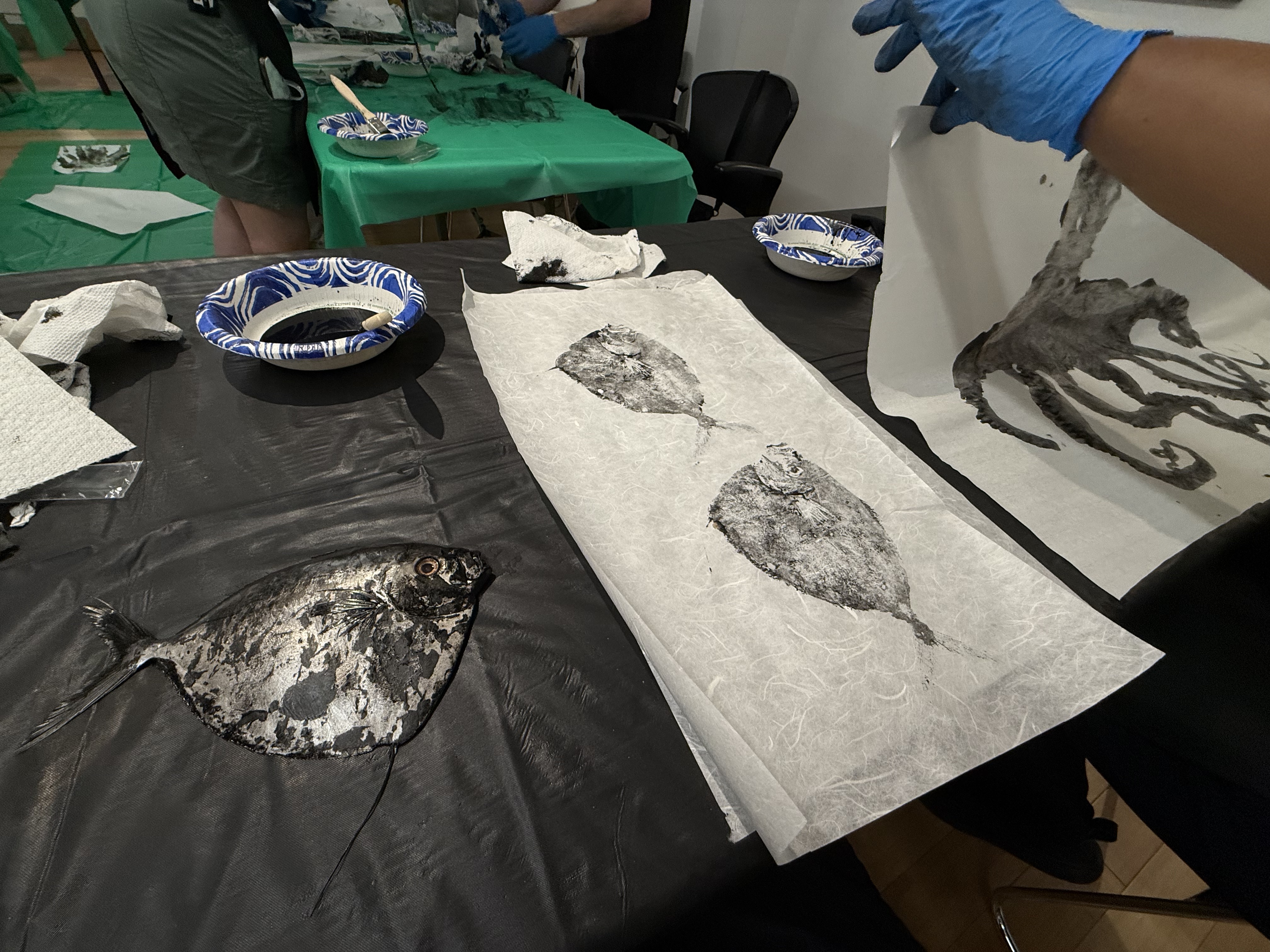 Photo of a gyotaku print in progress, one fish already inked and the impression paper on the right with the prints