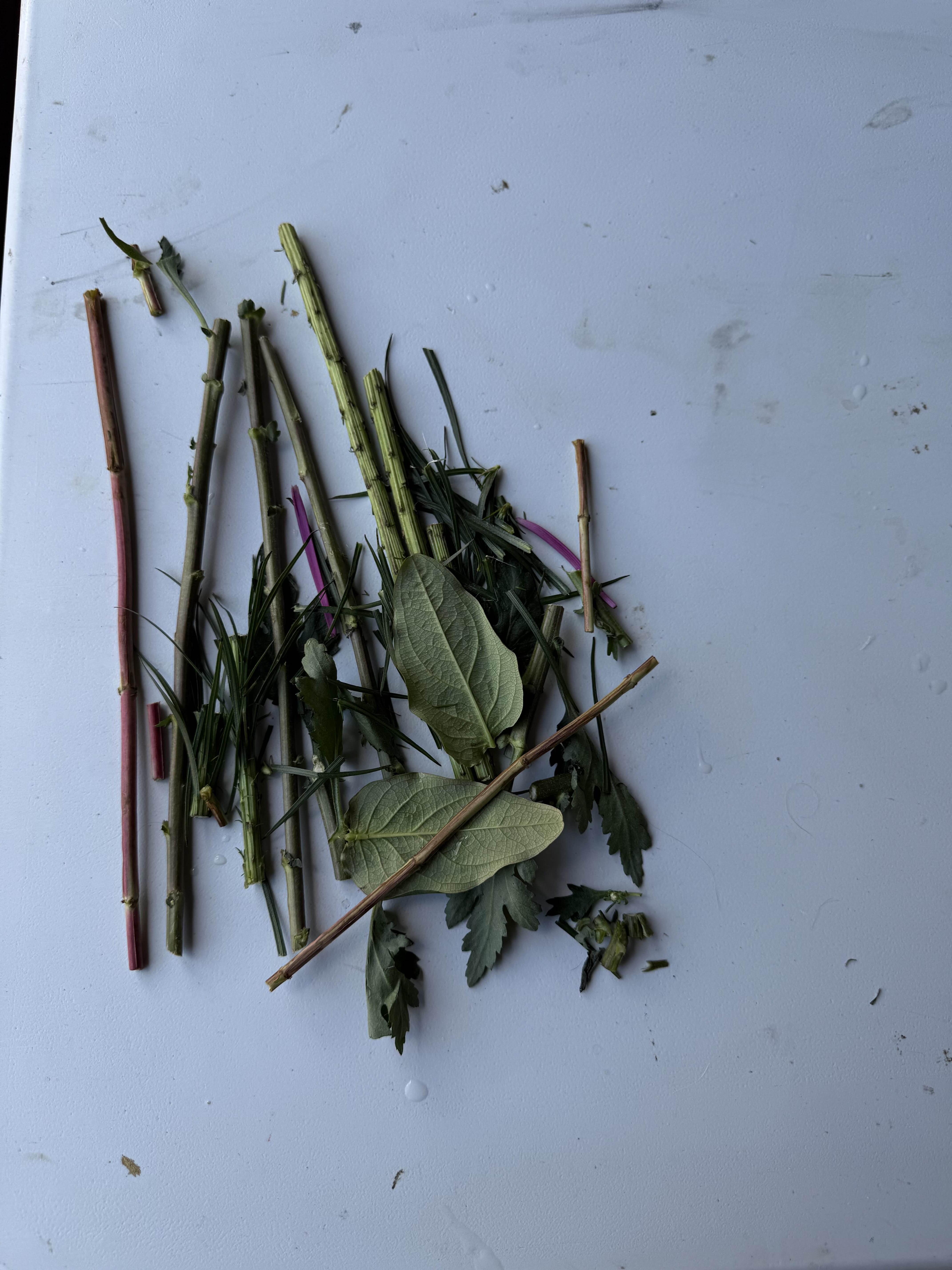 Stems, leaves, and other cuttings in a neat pile