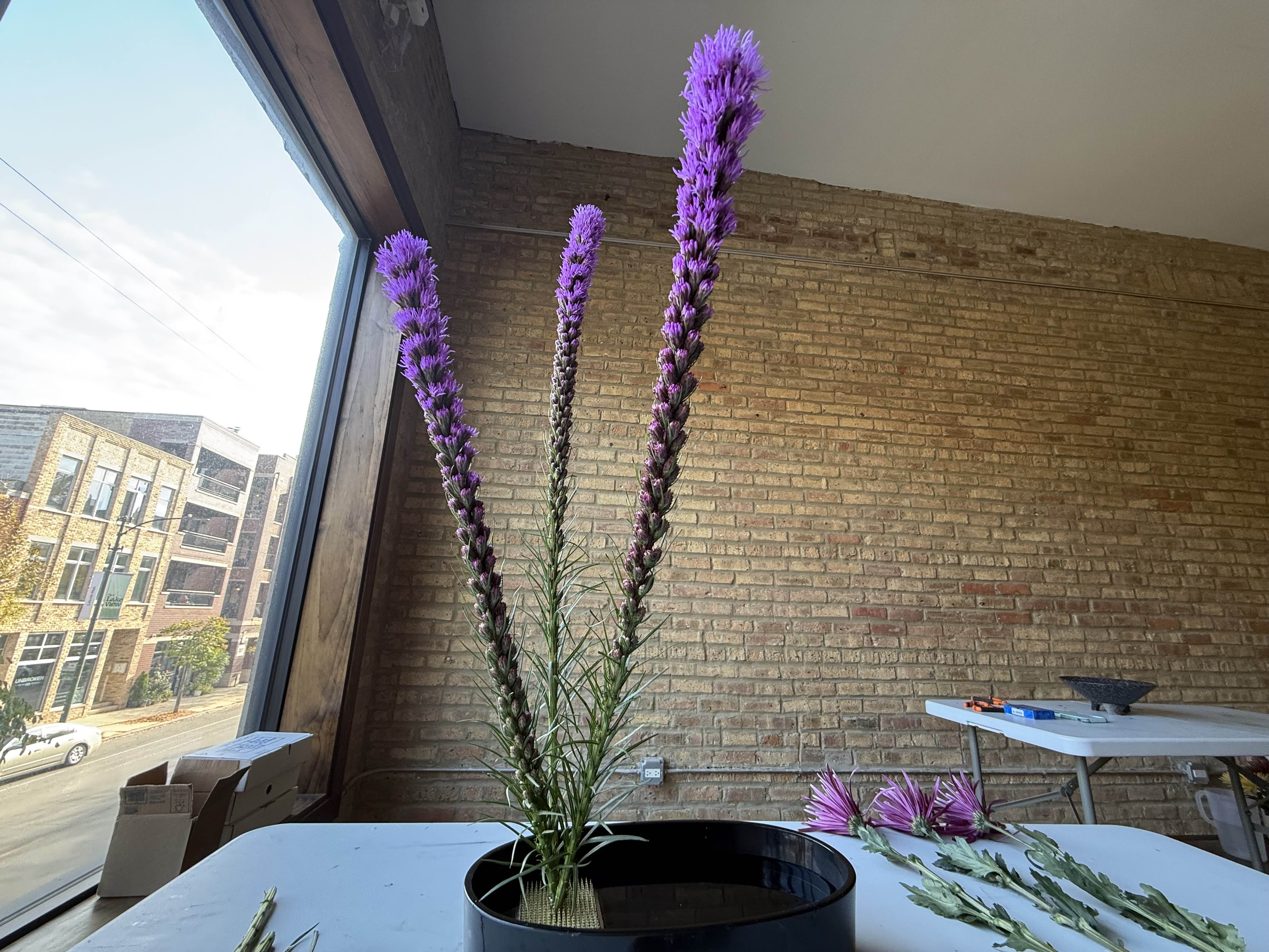 Image of Gayflower Feathers placed on a kenzan