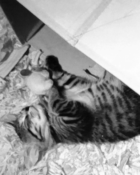 Side profile portrait